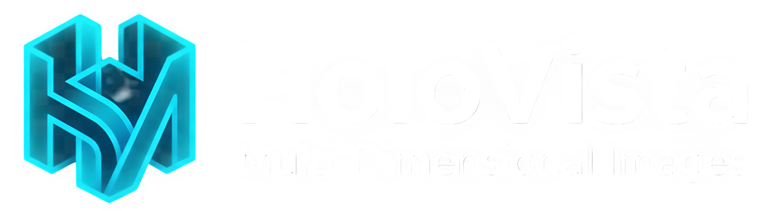 HoloVista